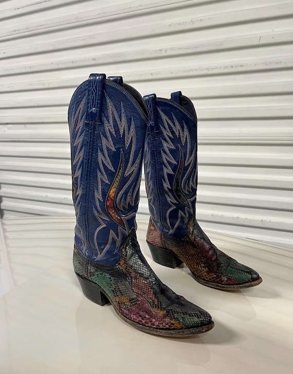 6 - Dan Post Rainbow Python Cowboy Boots - image 1