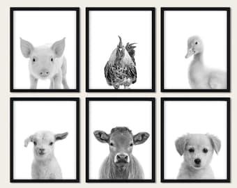 Baby Farm Animal Prints: Black and White Nursery Wall Art (Set of 6)