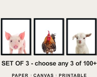 Baby Farm Animal Photos: Nursery Wall Art Prints Set of 3