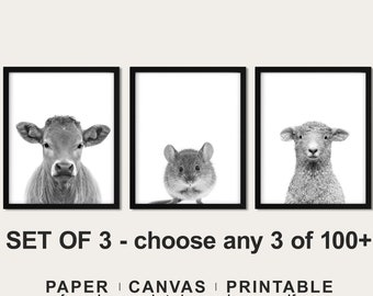 Farm Animal Nursery Art Prints: Modern Farmhouse Decor (Set of 3)