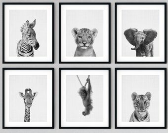 Black and White Jungle Animal Prints: Safari Nursery Decor, Set of 6