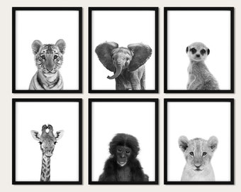 Safari Animals Prints: Black and White Nursery Decor, Set of 6