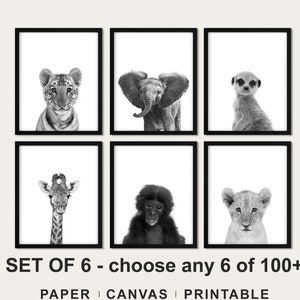 Safari Animals Prints: Black and White Nursery Decor, Set of 6