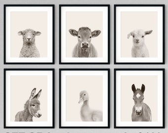 Farm Animal Nursery Wall Art on Paper or Wrapped Canvas, Farmhouse Kids Room Art, Baby Animal Prints Set of 6, Neutral Color Wall Art