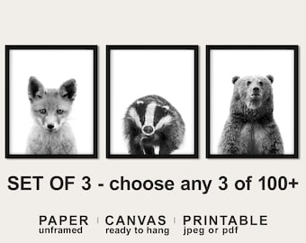 Forest Animal Nursery Prints: Fox, Badger, Bear - Set of 3