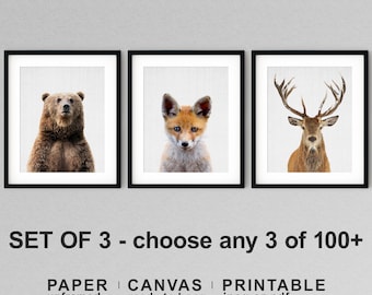 Forest Animal Prints Set: Bear, Fox, Deer - Neutral Nursery Decor