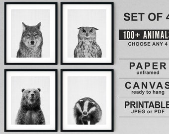 Woodland Animal Prints: Bear, Wolf, Owl, Badger - Set of 4