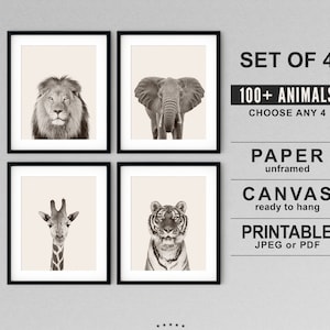 Safari Animal Prints for Nursery or Playroom or Living Room, African Animals Wall Art on Paper or Canvas, Safari Kids Decor set of 4