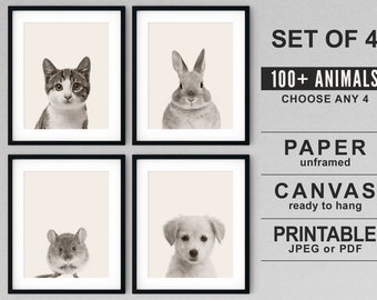 Baby Animal Nursery Decor: Set of 4 Prints, Canvas or Paper