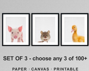 Farm Animal Nursery Prints: Pig, Duckling, Mouse - Set of 3