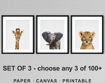 Safari Animal Nursery Art: Giraffe, Lion, Elephant (Set of 3)