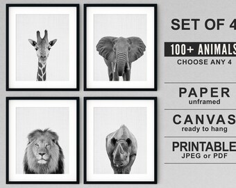 Safari Animal Prints, Nursery Decor, Set of 4, Canvas or Paper
