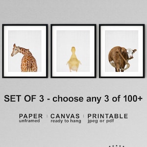 Whimsical Animal Wall Art, Animal Butt Prints, Humorous Bathroom Decor, Funny Kids Bath Art, Neutral Baby Nursery Decor, Modern Baby Gift