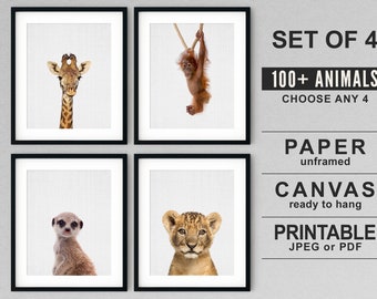 Safari Animals Nursery Art Prints: Baby Animal Theme Decor (Set of 4)
