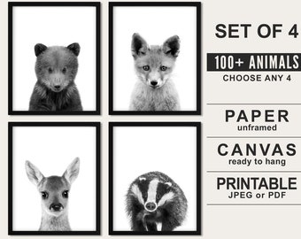 Woodland Animals Nursery Art: Black & White Prints, Set of 4