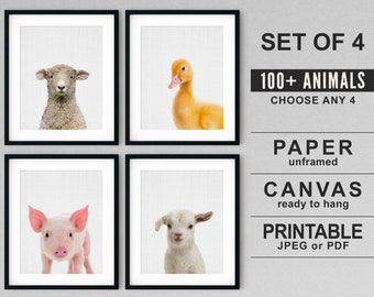 Barnyard Nursery Prints for Kids Room, Cute Farmhouse Animal Wall Decor, Modern Farm Baby Decor, Child Bedroom Decor Lamb Duck Pig Goat