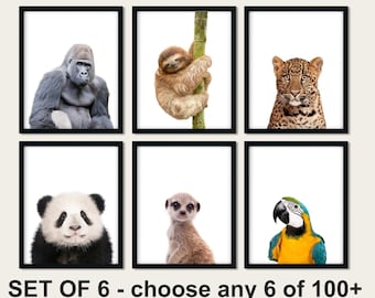 Jungle Animals Nursery Prints: Safari Kids Wall Art, Set of 6
