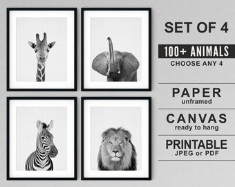 Safari Animal Prints (Set of 4): Black and White Nursery Art