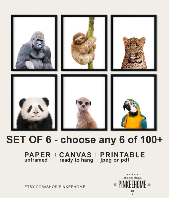 Wall Décor Wall Hangings Zoo Animal Prints Safari Baby Decor Jungle