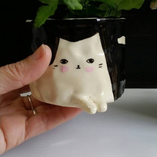 Cat Pot Plant small eyes open