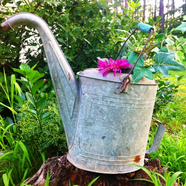 Large Vintage Galvanized Watering Can Patina Wooden Handle Farmhouse Rustic Cottage Chic Decor Gardening Decor