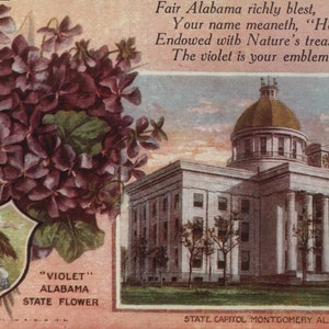 Montgomery AL, Alabama, Capitole, State Flower, Violet, c1910, carte postale ancienne originale AL001360 inutilisée