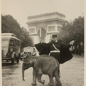 Photographie, Art, Paris, France, Attention, Traversée d'éléphants, Arc de Triomphe, Carte postale moderne R001586