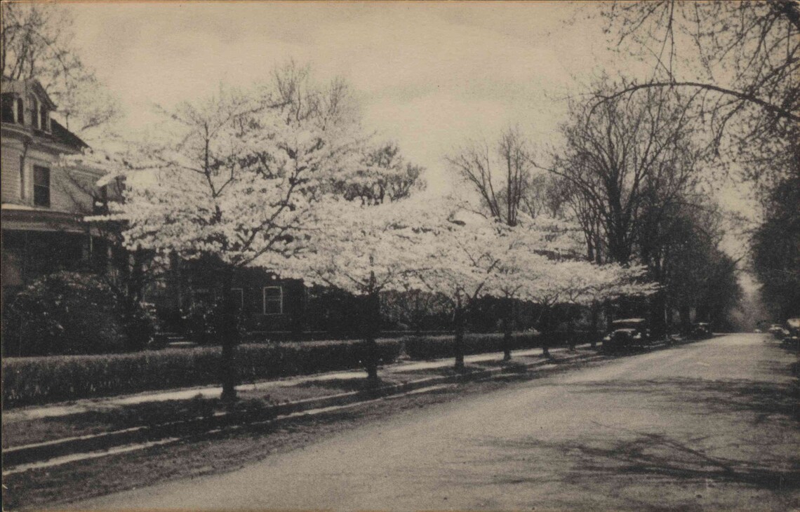 Mt Freedom NJ New Jersey Randolph Morris County Original Etsy