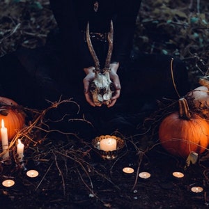 Candle Candlelight Ceremony Occult Creepy Dark, Horns, Halloween Pumpkin,  Postcard Z573440