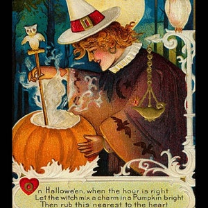 Carte postale vintage moderne Halloween, hibou, sorcière, chaudron, citrouille, coeur, mariage, sortilège Z051705