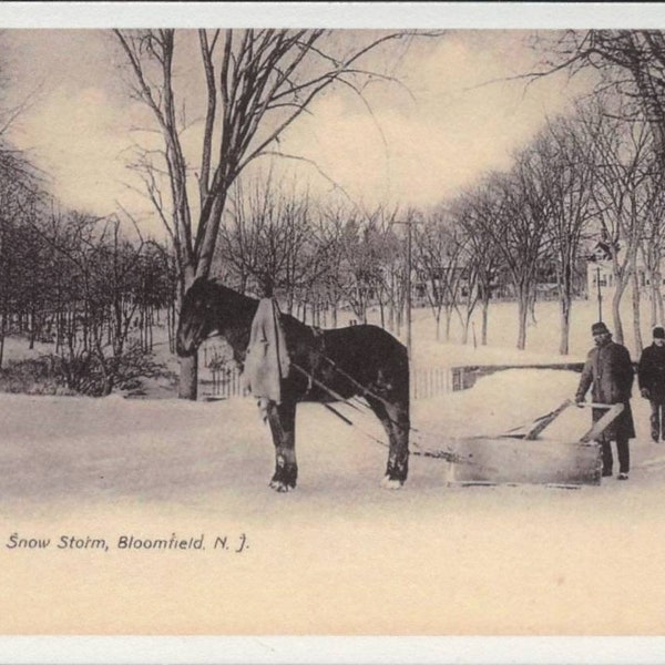 Bloomfield New Jersey NJ, Horse, After a Snowstorm, Park Scene, 1910 Vintage REPRO Postcard Z769148