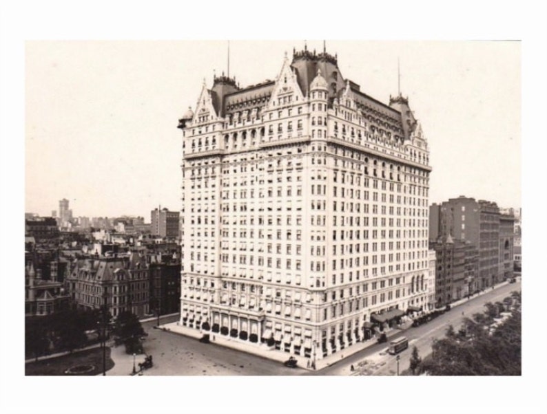 Plaza Hotel, New York City NYC NY REPRODUCTION Vintage Postcard R502410 image 1