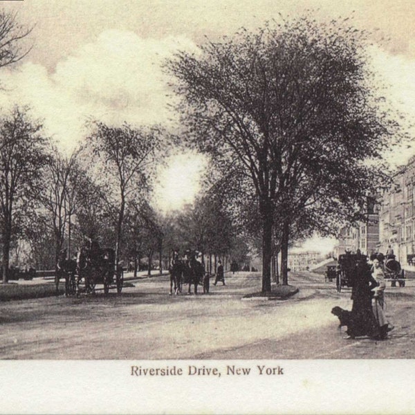 Manhattan, New York City, Riverside Drive, c1906,  NY REPRO Vintage Postcard Z982205