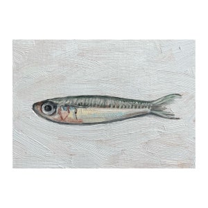 Sardine Painting 5x7, Original Painting, Small Fish Still Life, Kitchen Art, oil on canvas panel image 2