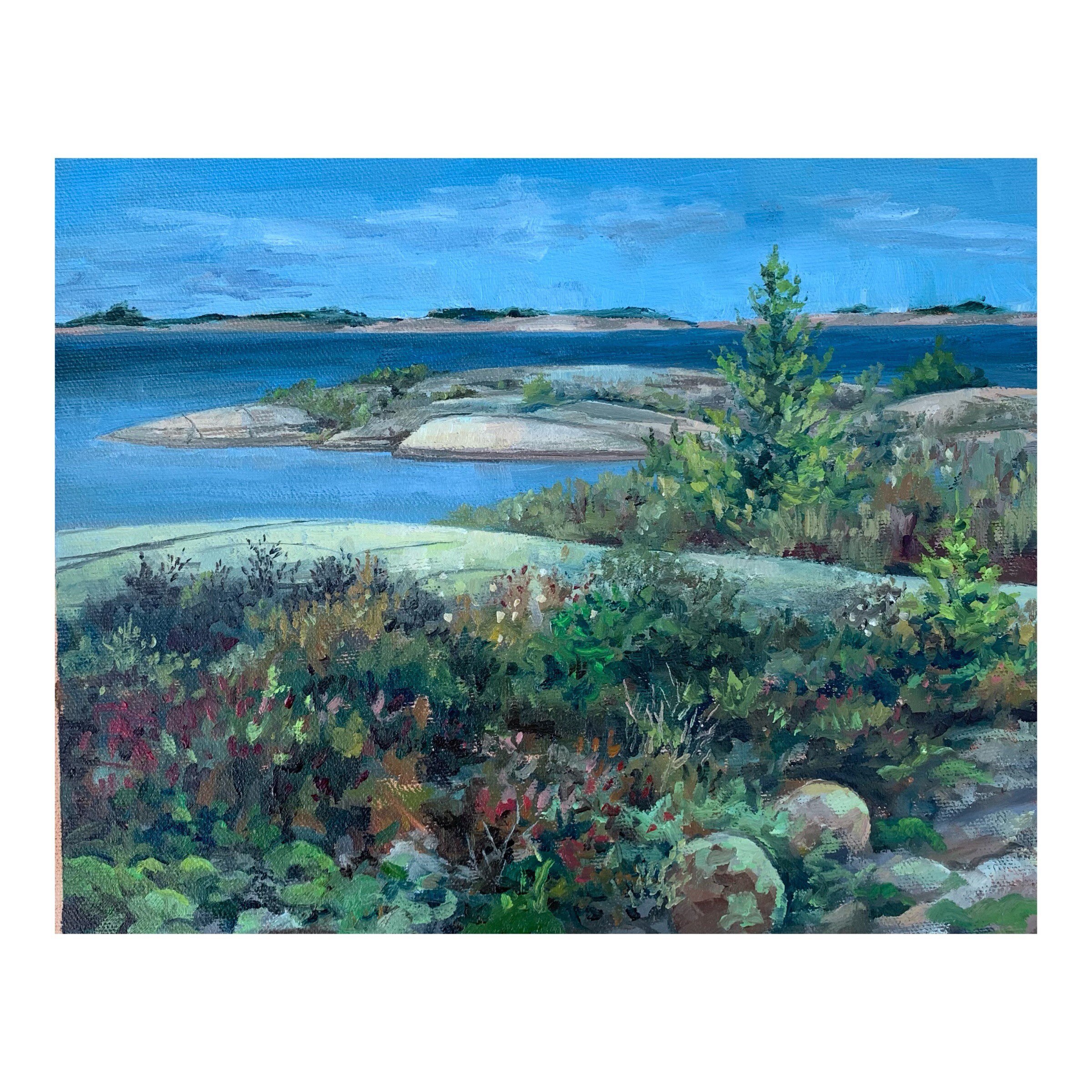 Bay Landscape Canada Original Oil Painting Oil on Etsy