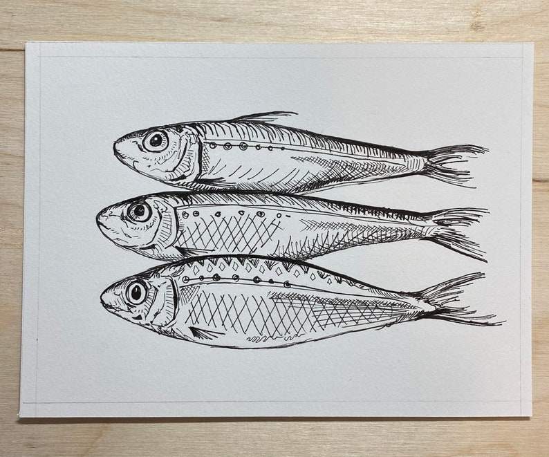 Original Sardines Hand Drawn Ink Drawing Small Fish Still Etsy
