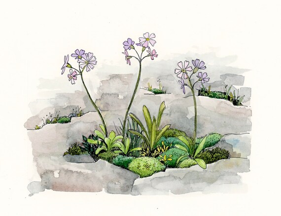 Watercolor And Ink Painting Moss And Flower Patch Original Etsy Watercolor And Ink Painting Moss And Flower Patch Original Etsy