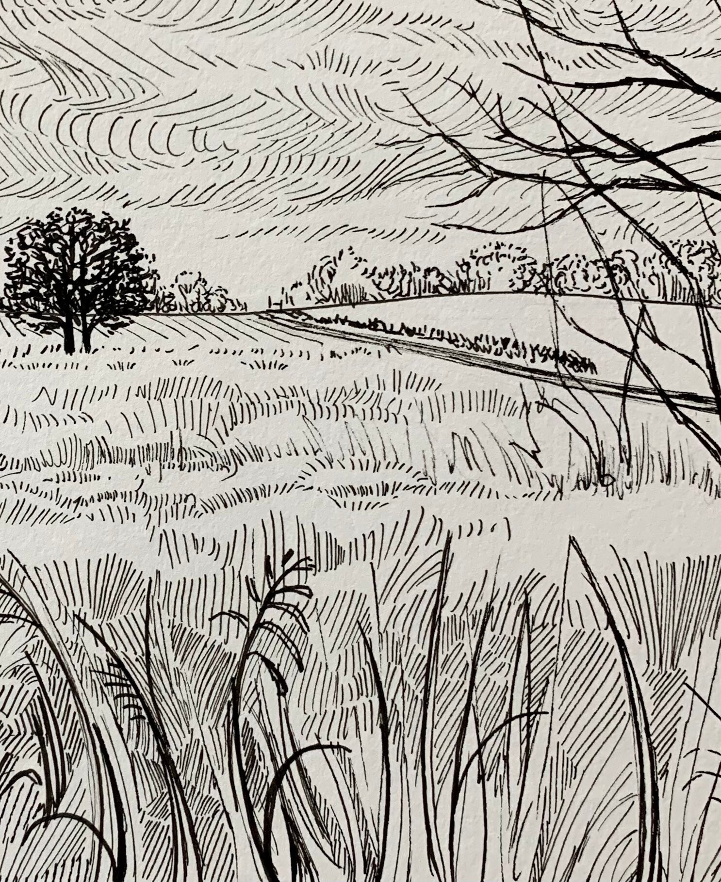 Original Ink Drawing Gift for Her Landscape Illustration Etsy