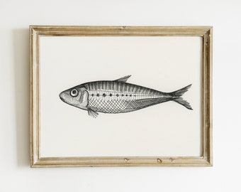 Disegno d'arte di campagna francese, disegno a inchiostro disegnato a mano originale Sardine, piccolo pesce Still Life, arte della cucina, 5x7