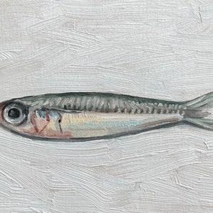 Sardine Painting 5x7, Original Painting, Small Fish Still Life, Kitchen Art, oil on canvas panel image 7