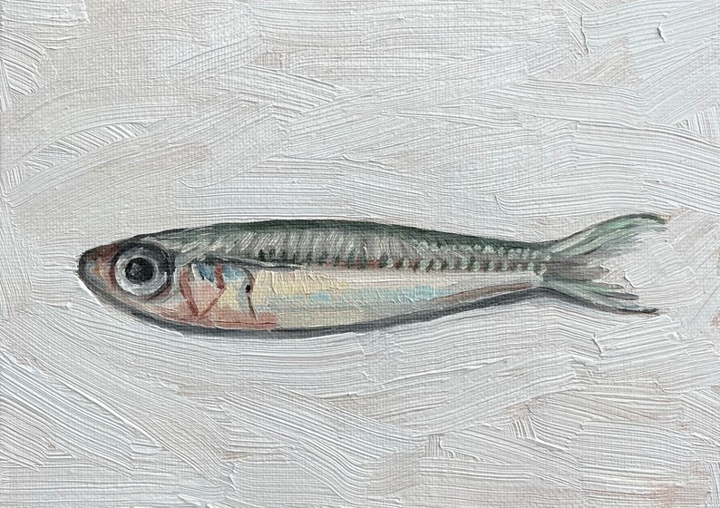 Sardine Painting 5x7, Original Painting, Small Fish Still Life, Kitchen Art, oil on canvas panel image 7