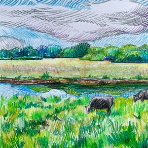 Vaches dans le champ, Pas une impression, Dessin original, Paysage Illustration Champs Étang et vaches, Art original sur papier, 5x7in image 5