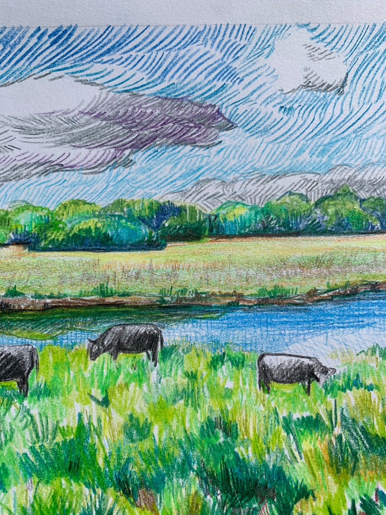 Vaches dans le champ, Pas une impression, Dessin original, Paysage Illustration Champs Étang et vaches, Art original sur papier, 5x7in image 9