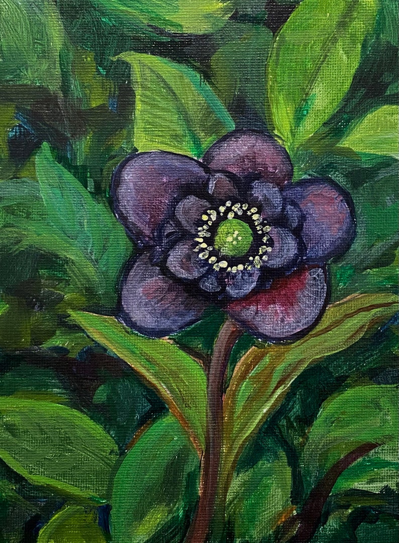 Dark Flowers, Original Painting, Whimsigoth Dark Academia Style, Canvas Panel, Floral Wall Art, 5x7inches image 2