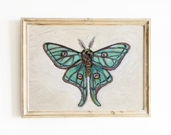 Hand Painted Moth, Original Oil Painting, Still Life Art, 5x7 oil on paper