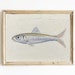 see more listings in the Sardines Paintings section