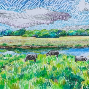 Vaches dans le champ, Pas une impression, Dessin original, Paysage Illustration Champs Étang et vaches, Art original sur papier, 5x7in image 1