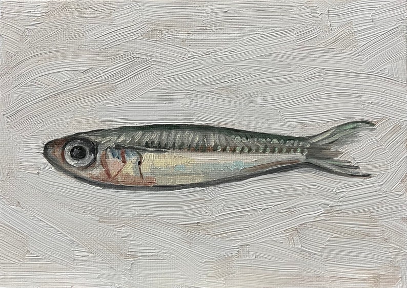 Sardine Painting 5x7, Original Painting, Small Fish Still Life, Kitchen Art, oil on canvas panel image 5