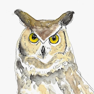 Owl greeting card, note card, greeting card, animal art, owl art, art card, blank card