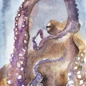 octopus, octopus card, marcellus, bright creatures, octopus art cars